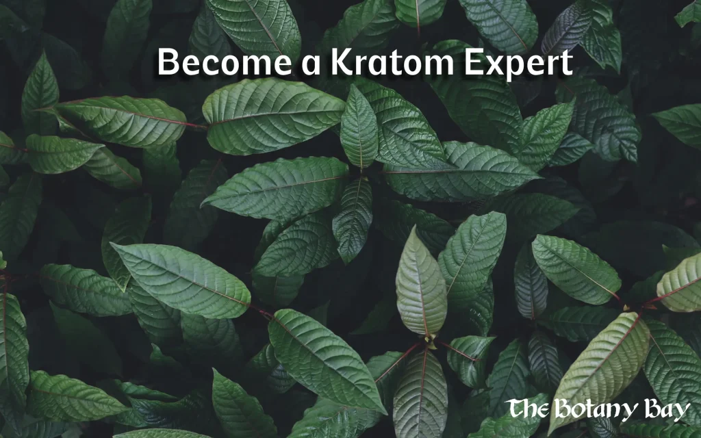 learn about kratom