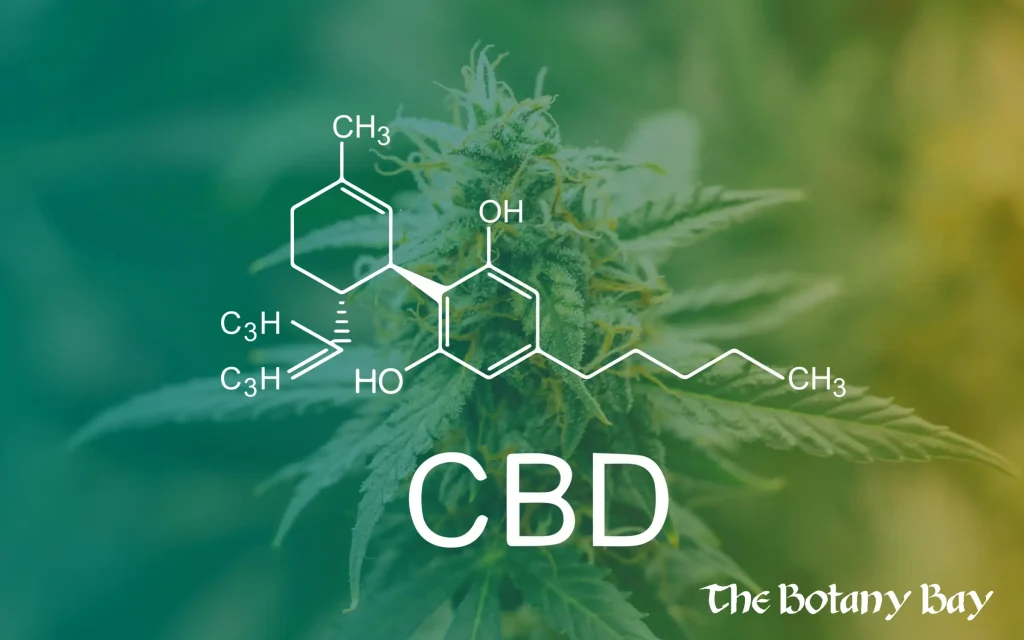 cbd structure