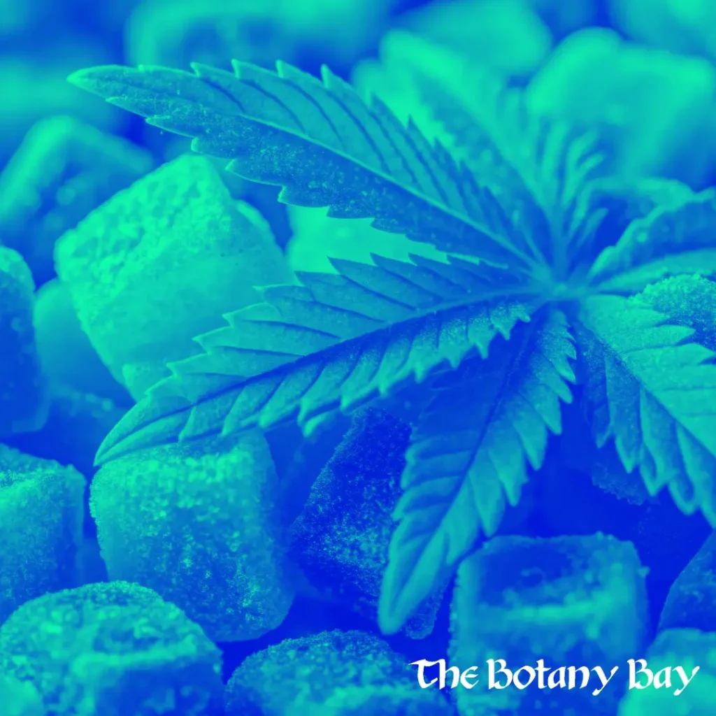 delta 10 edibles