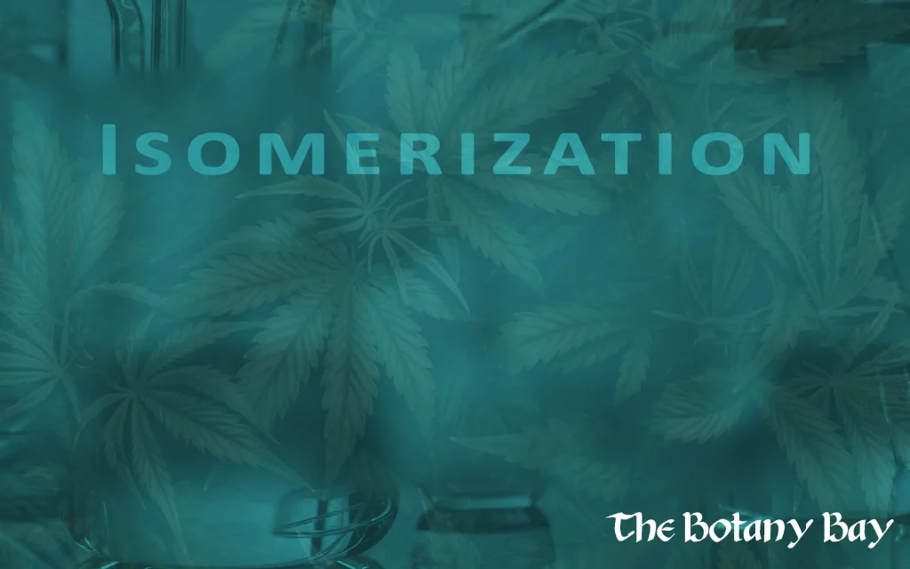 Delta 10 isomerization, how to make delta-10 thc