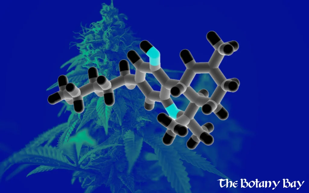 thc-b molecular model