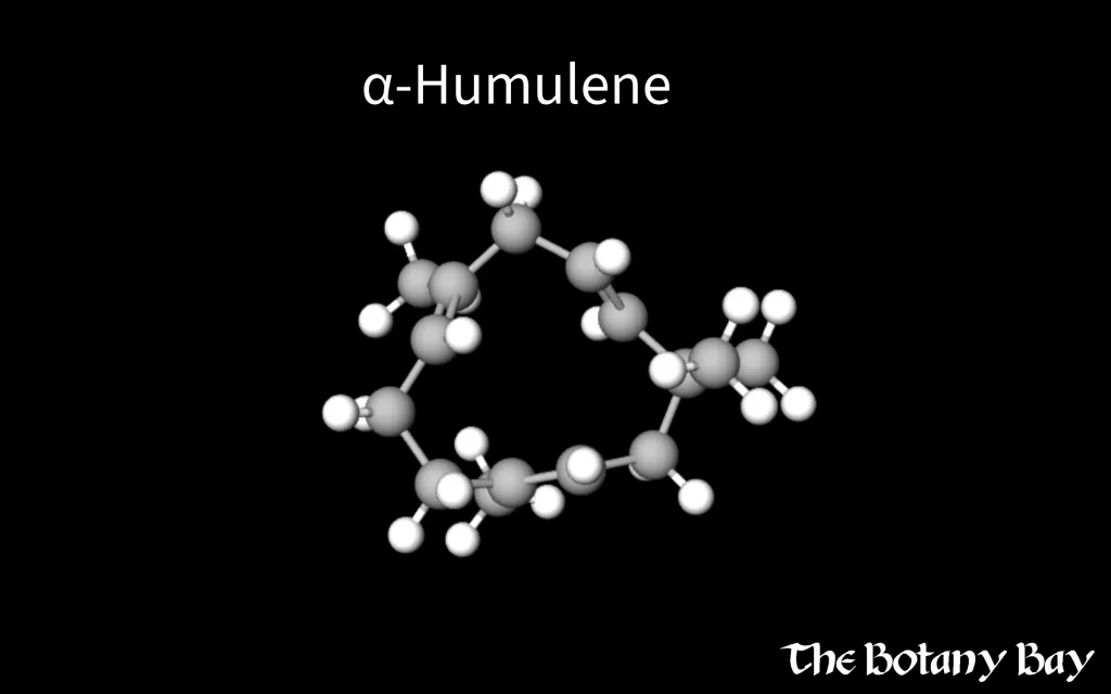alpha-humulene molecular structure