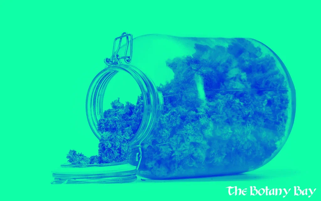 jar of cannabis
