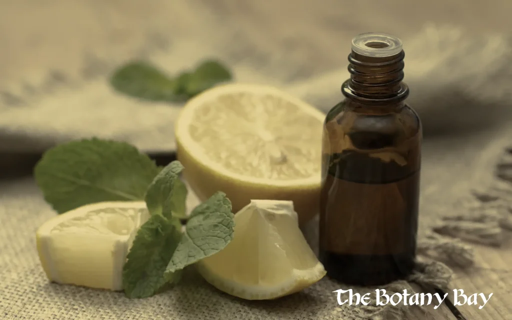 limonene essential oil, terpene