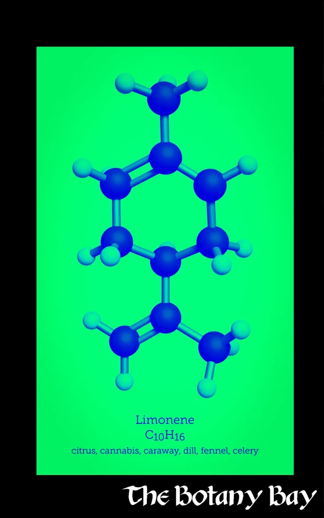 molecular structure of limonene terpene