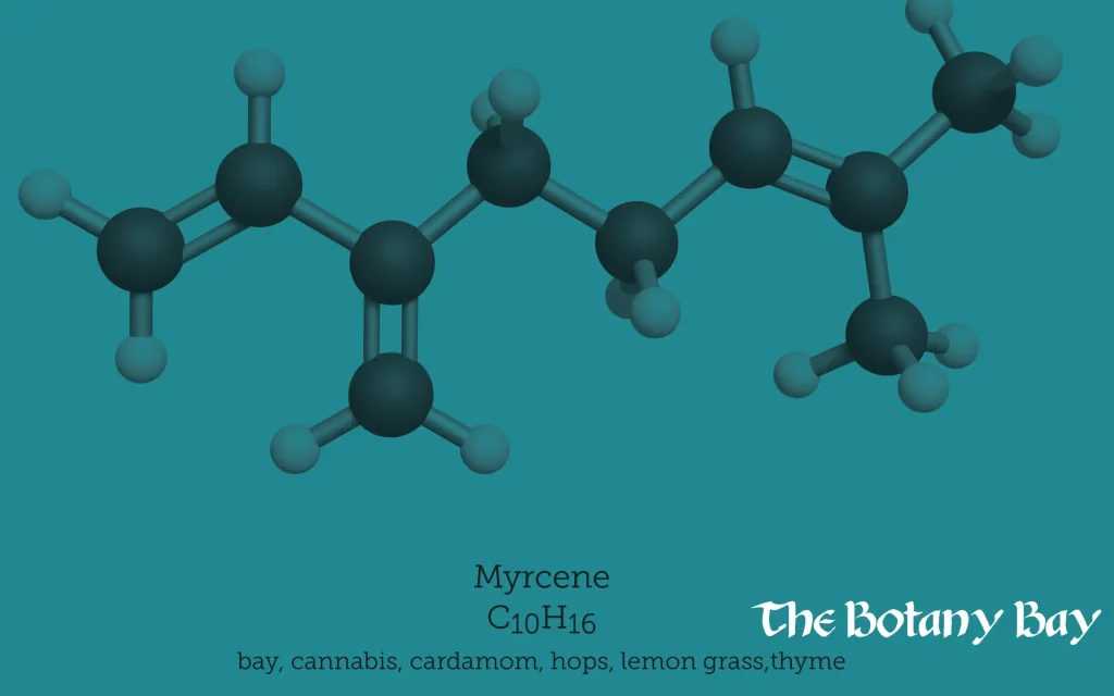 terpene myrcene molecular structure
