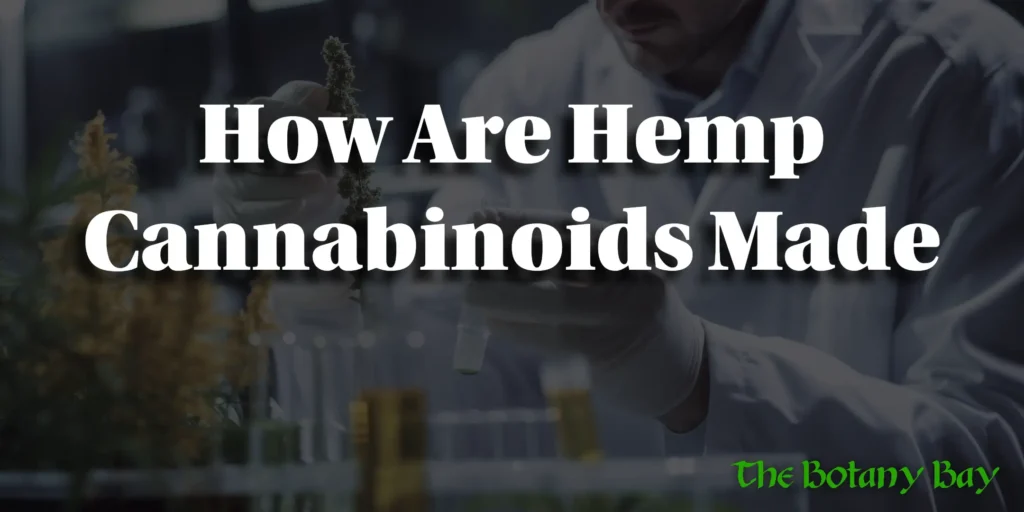 How Are Hemp Cannabinoids Made? A Simple Look at Conversion Chemistry